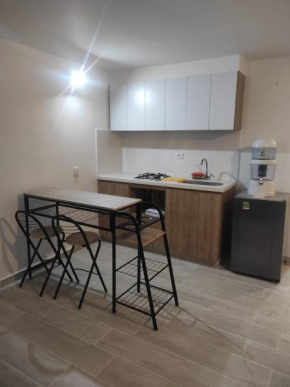 Apartaestudio tipo Loft
